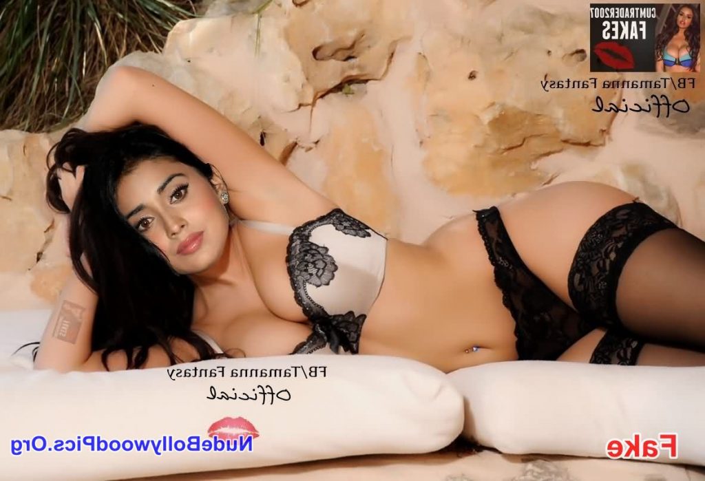 Shriya Saran naked xxx 13 1024x699 - Shriya Saran Nude Hot Fakes Photos